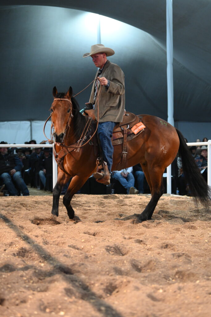 The Horse Sale Rancho Rio