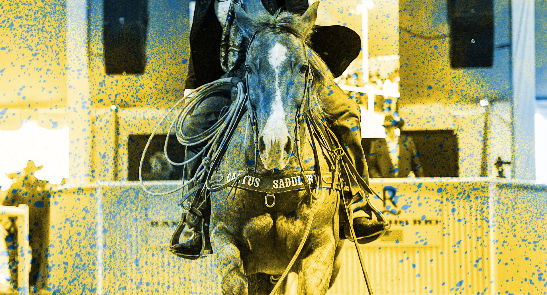 The Horse Sale Rancho Rio